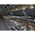 Economic automatic flat for chicken houses